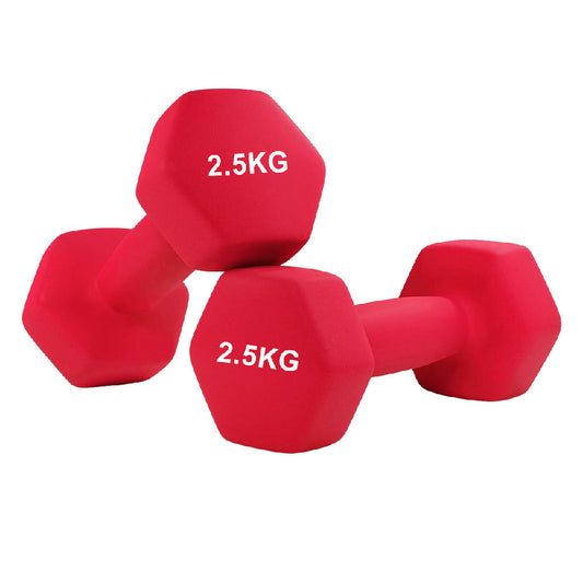 Neoprene Hex Dumbbells – Anti-Roll Non-Slip Hand Weights with Soft-Touch Grip – Available in Singles, Pairs & Sets – Premium Home Fitness Equipment